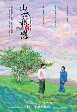 山楂樹之戀2010
