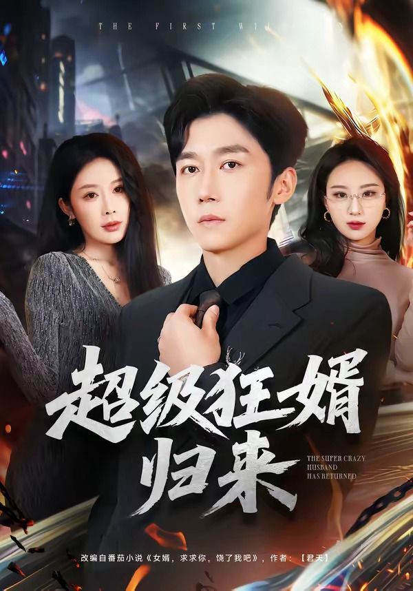超級狂婿歸來