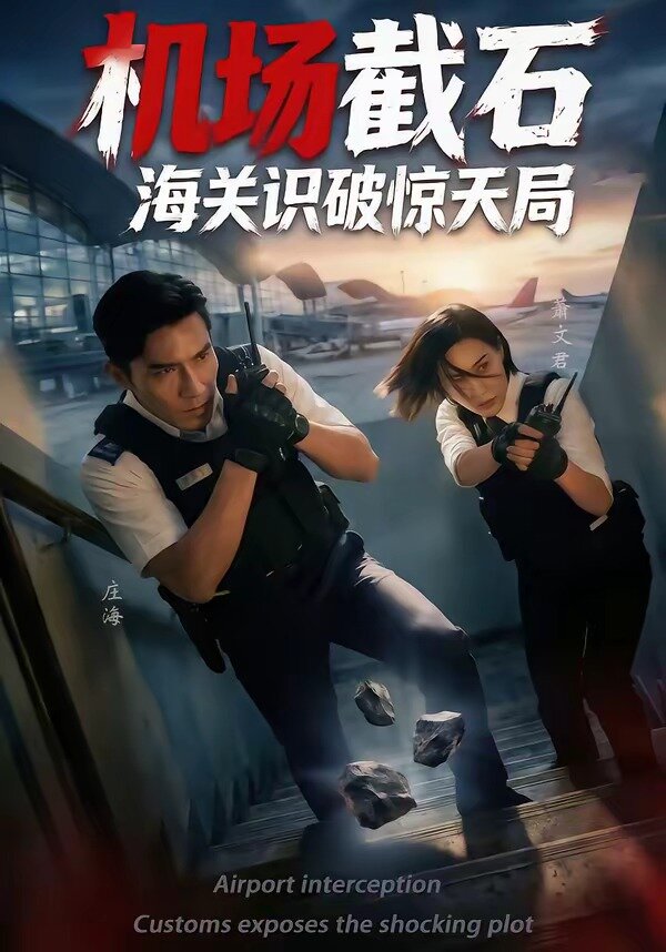 機場截石，海關識破驚天局