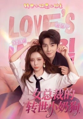 女總裁的轉世小奶狗