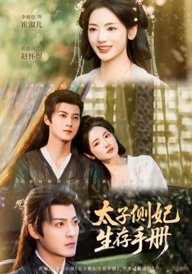 太子側妃生存手冊