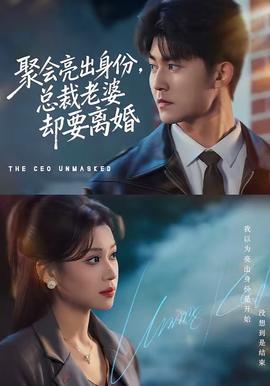 聚會亮出身份，總裁老婆卻要離婚