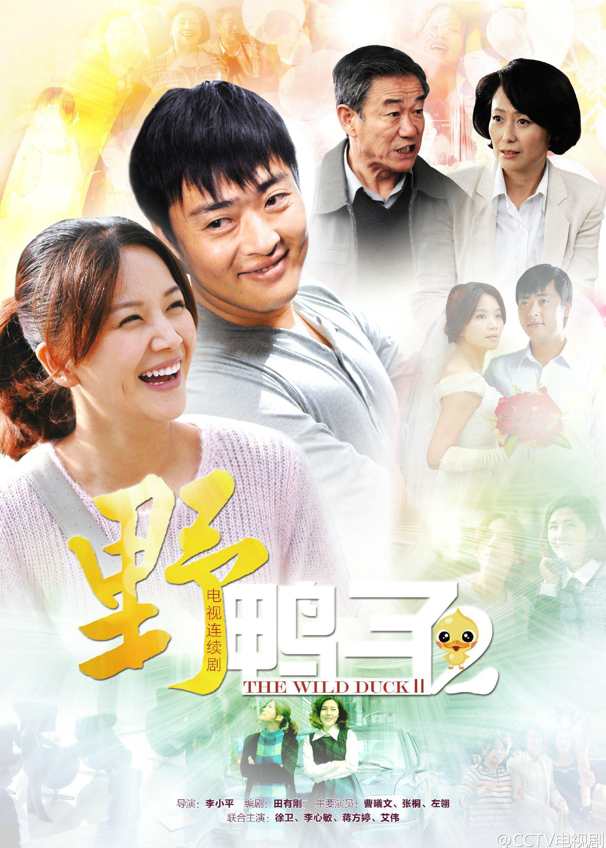 野鴨子 第2部封面圖