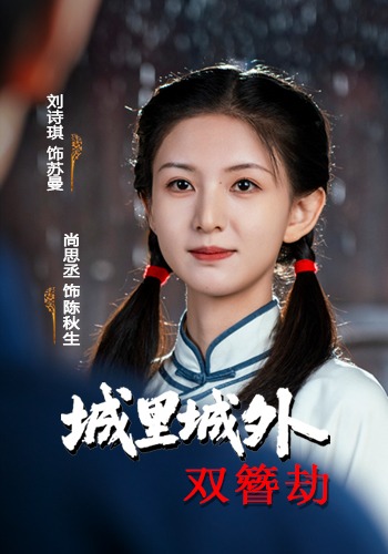 城裡城外雙簪劫封面圖