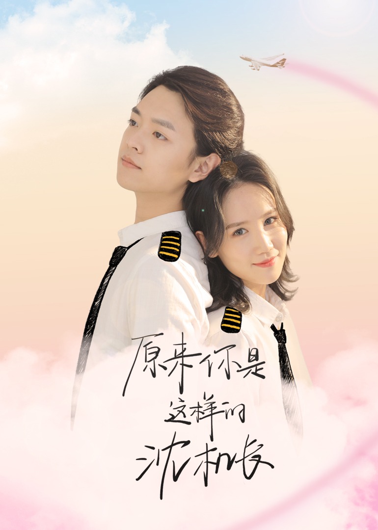 原來你是這樣的沈機長封面圖