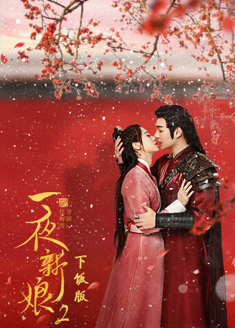 一夜新娘2下飯版封面圖
