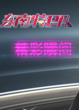 東南特衛隊精彩瞬間封面圖