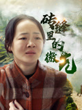 磚縫裡的微光封面圖