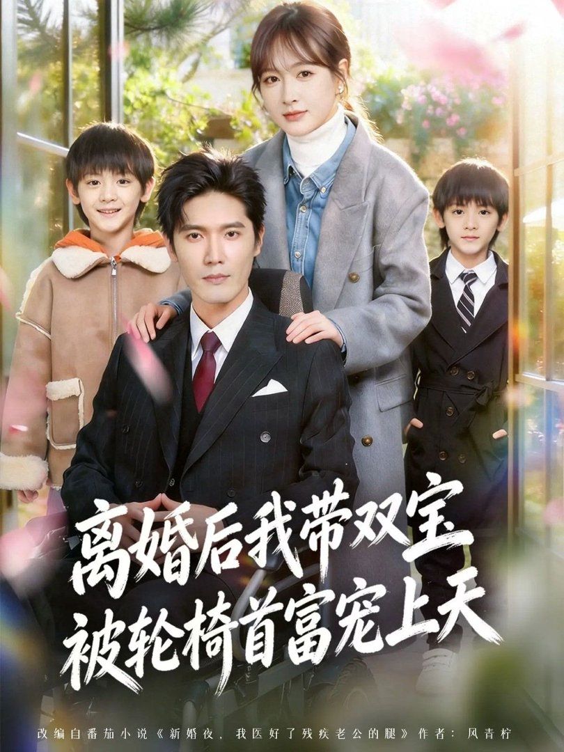 離婚後我帶雙寶被輪椅首富寵上天（離婚後，我被輪椅首富寵上天）