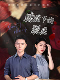 糖霜下的裂痕封面圖