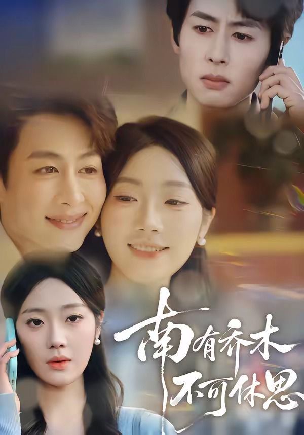 南有喬木，不可休思