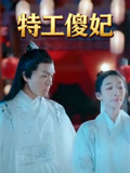 特工傻妃封面圖