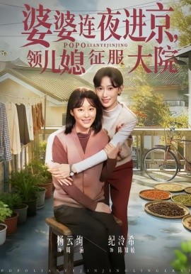 婆婆連夜進京，領兒媳征服大院