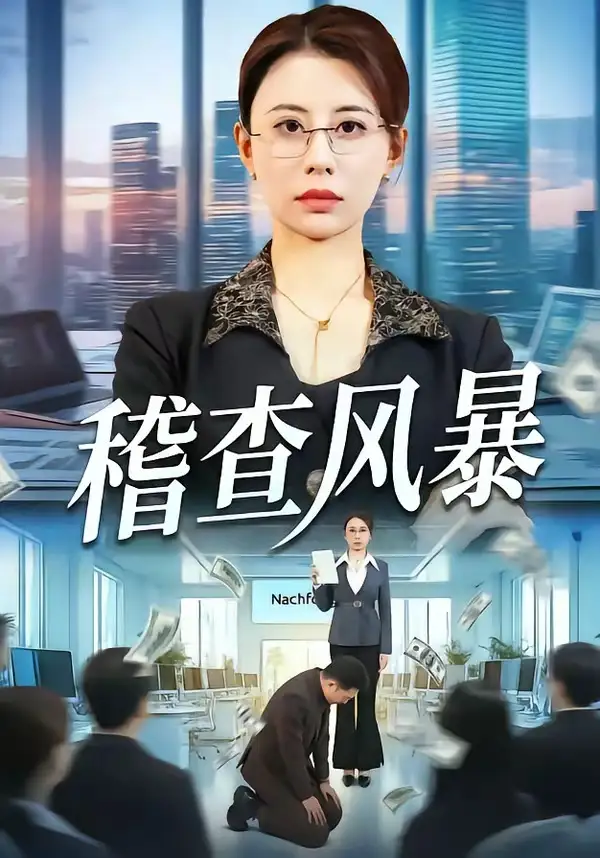 稽查風暴