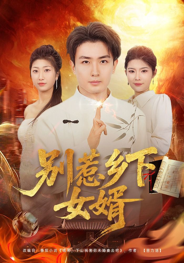 別惹鄉下女婿